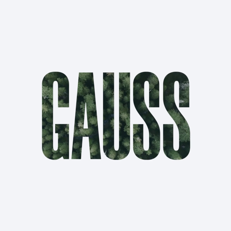 Gauss